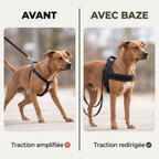 Harnais anti-traction BAZE